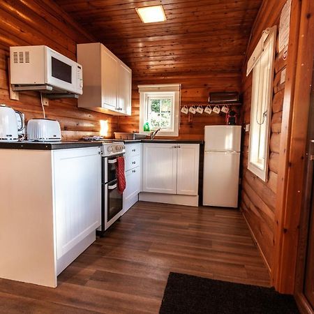 3 Bedroom Log Cabin In Snowdonia Nr Mtb Trails Tanygrisiau Экстерьер фото