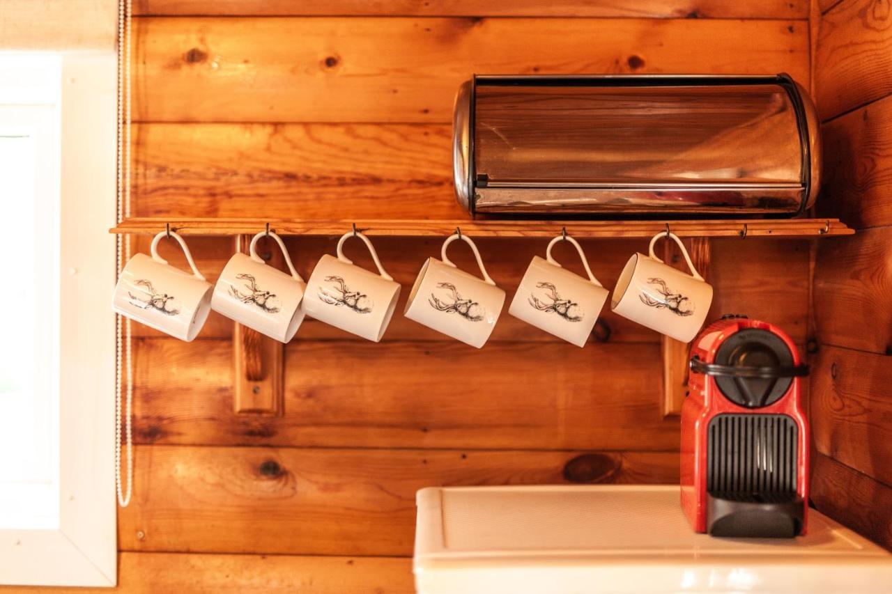 3 Bedroom Log Cabin In Snowdonia Nr Mtb Trails Tanygrisiau Экстерьер фото