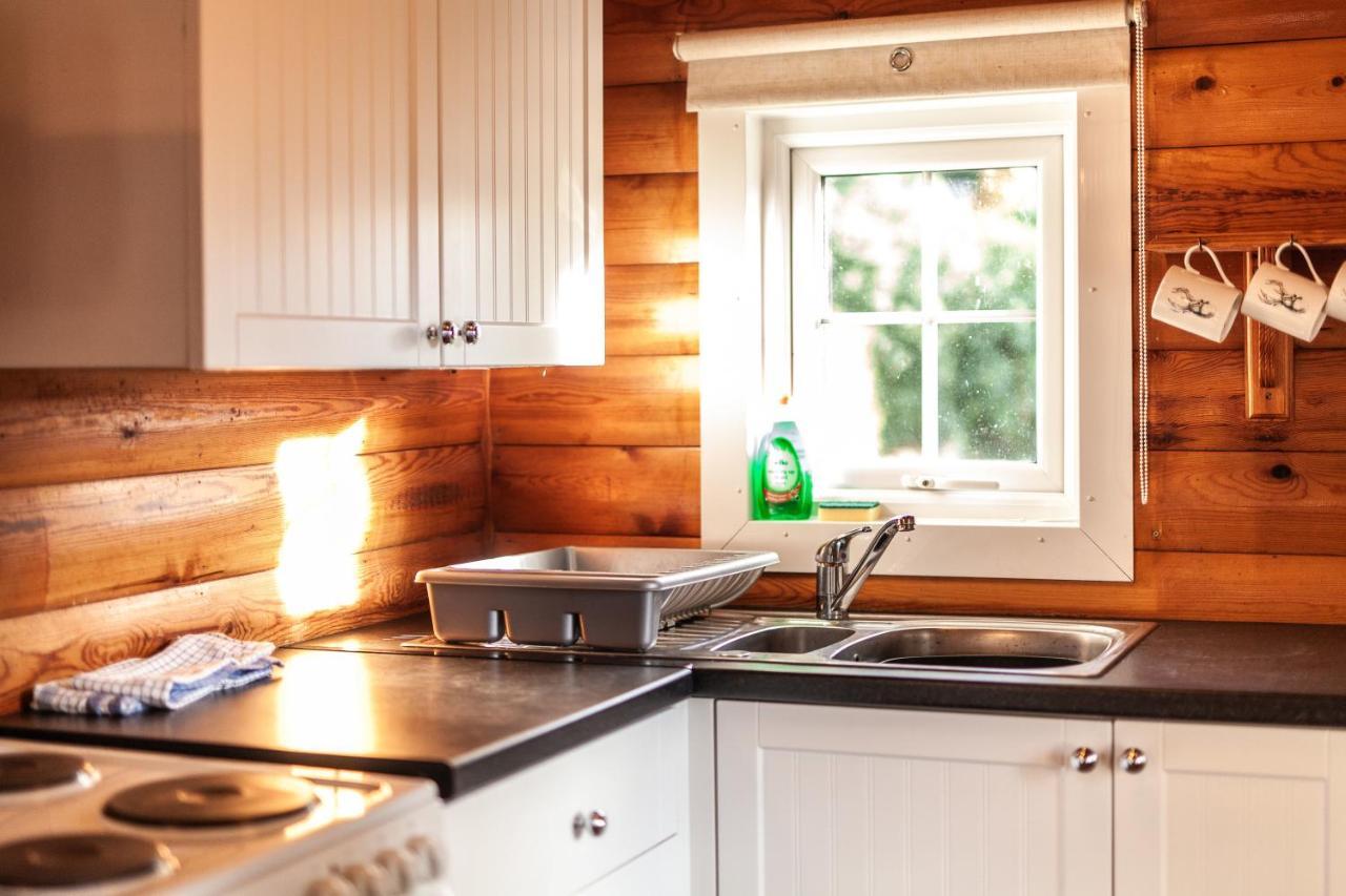 3 Bedroom Log Cabin In Snowdonia Nr Mtb Trails Tanygrisiau Экстерьер фото